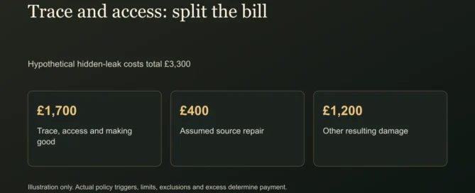 Trace and access: split the bill. Hypothetical hidden-leak costs total £3,300