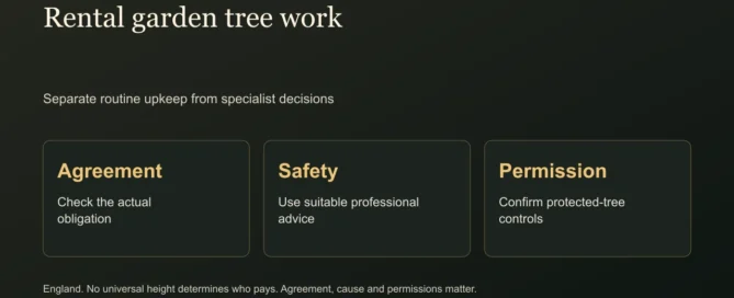 Rental garden tree work. Separate routine upkeep from specialist decisions